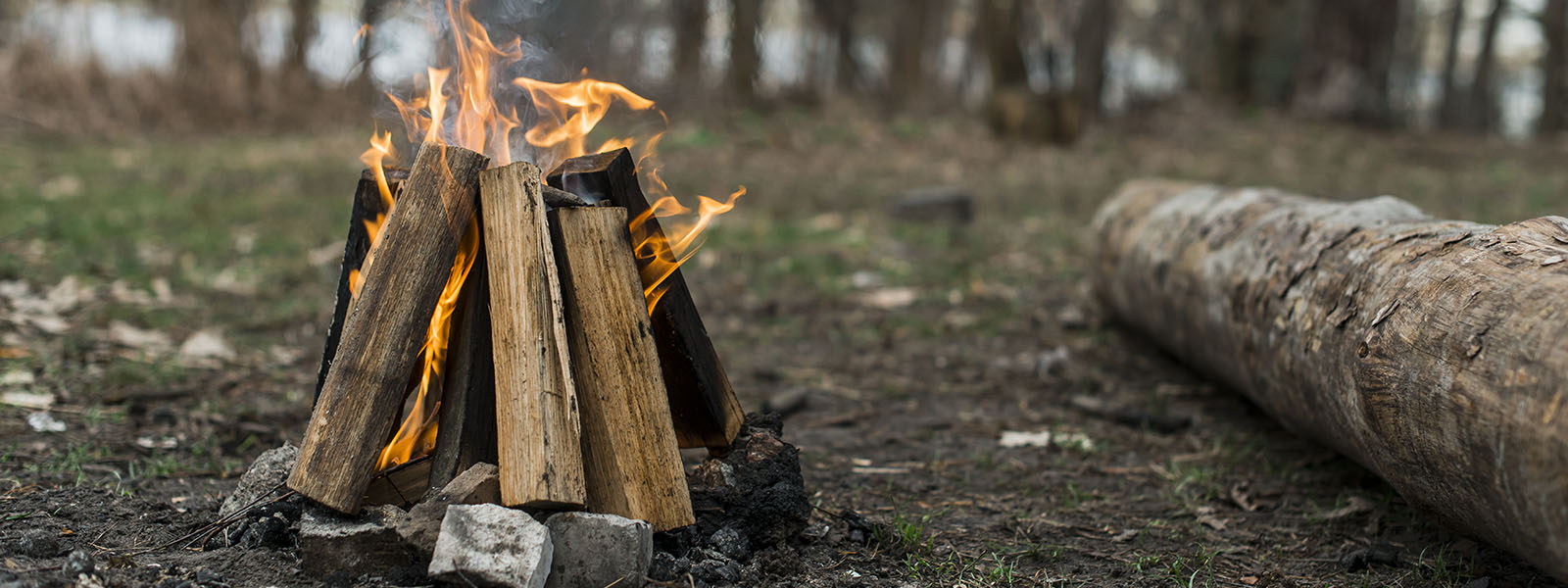 Doğancılı Camping